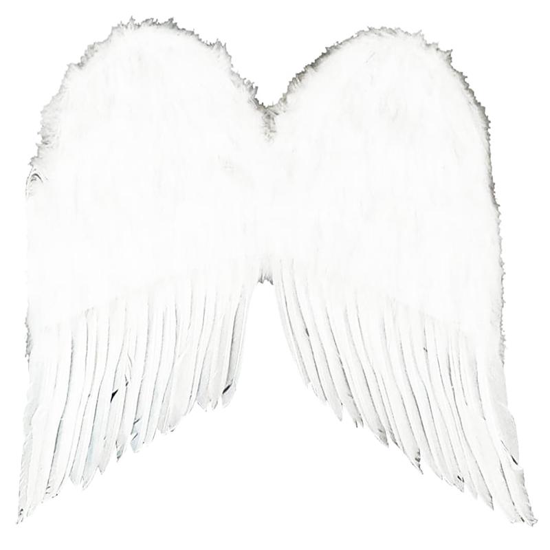 Feather Costume Wings 22\" White